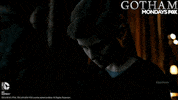gotham GIF by Fox TV