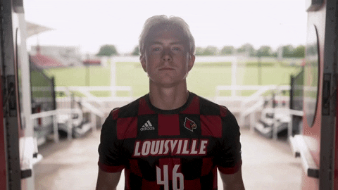 University Of Louisville Go Cards GIF by Louisville Cardinals