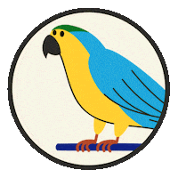 Birds Flying Sticker by Real Reason for Pets