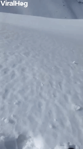 Sticky Snow Helps Snowballs Grow