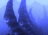 Wormcurse GIF