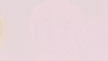 Andreas Ulmer Football GIF by FC Red Bull Salzburg