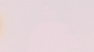 Football Sport GIF by FC Red Bull Salzburg