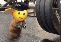Crypto Workout GIF by SaluteXRPL
