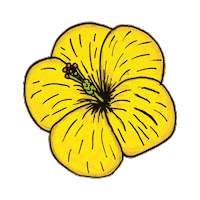 Summer Flower Sticker by KathmanduGear