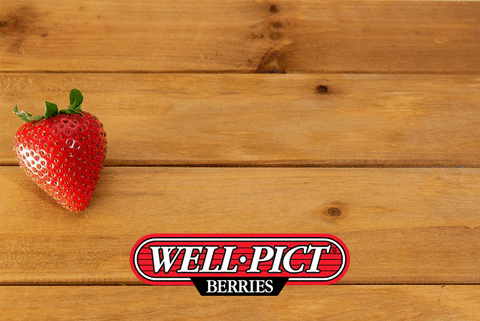 WellPict giphyupload true well taste GIF