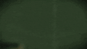 Worry A Little Less GIF by Max & Harvey