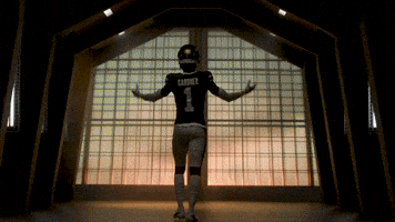 Football Nfl GIF by New York Jets
