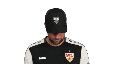 Look Up Vfb Stuttgart Sticker by Bundesliga