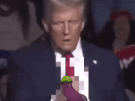 _Odlavso_  GIF