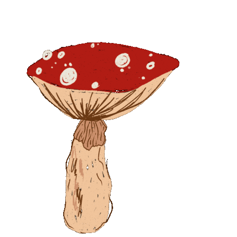StoneTreePrints mushroom mushrooms stonetreeprints Sticker
