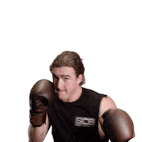 Boxing Newcastle Sticker by Redback Solutions