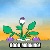 Happy Good Morning GIF by Magic Eden