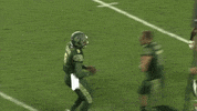 Quinton Flowers Usf GIF by SoFloBulls