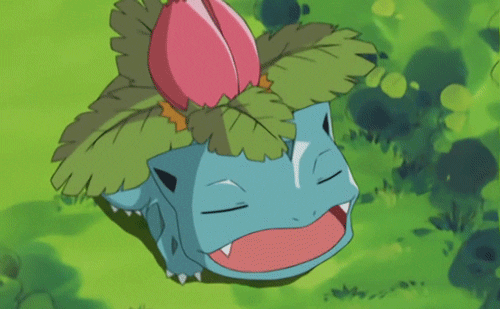 charmeleon GIF