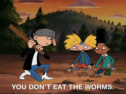 hey arnold nicksplat GIF