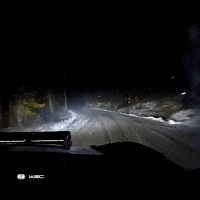 Car Crash GIF by FIA World Rally Championship