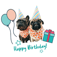 Happy Birthday Sticker by Morty The Pug