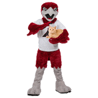 cat kitty Sticker by Ripon College