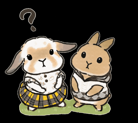 うさぎ はてな GIF