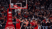GIF by NBA