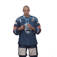 Fight Hockey Sticker by HC Škoda Plzeň