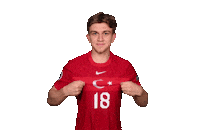 Euro 2020 Soccer Sticker by UEFA