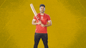 Ipl Dhoni GIF by Dream11