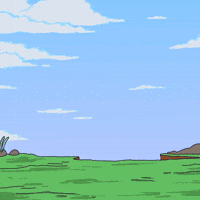 Cat Hello GIF by Toshithecat