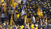College Football GIF by WVU Sports