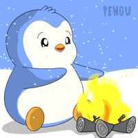 Fire Camping GIF by Pudgy Penguins
