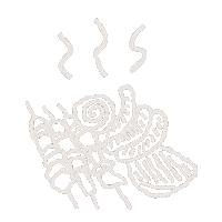 South Africa Sticker by Spotify