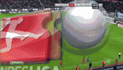 bas GIF