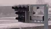 GIF by W Series