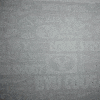 Celebration Byu Baseball GIF by BYU Cougars