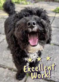 Well Done Applause GIF