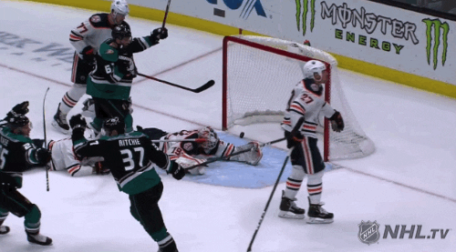 celebrate ice hockey GIF by NHL