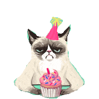 grumpy cat STICKER by imoji