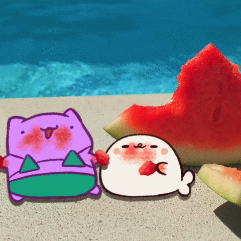 Watermelon Tango GIF