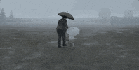Toronto International Film Festival Tiff 2019 GIF by TIFF