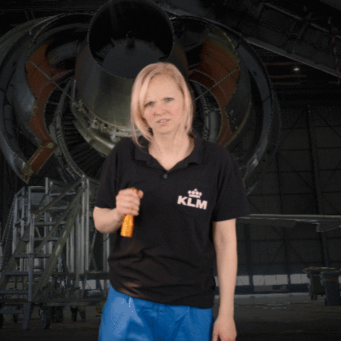 Royal Dutch Airlines Travel GIF by KLM