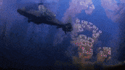 kado : the right answer GIF by Crunchyroll