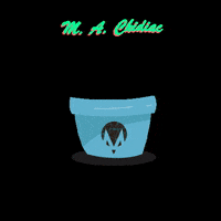 MAChidiac cactus lebanon beirut cacti GIF