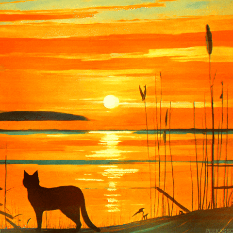 Good Morning Gif Artist GIF by PEEKASSO
