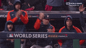 World Series Win GIF by MLB