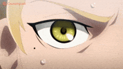 Season 2 GIF by Crunchyroll