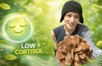 Cortis Seonghyeon GIF