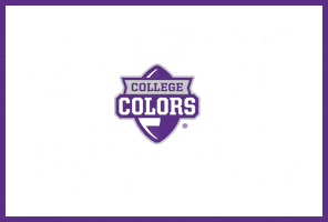 Horned Frogs Tcu Sticker by College Colors Day