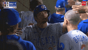 Celebrate Chicago Cubs GIF