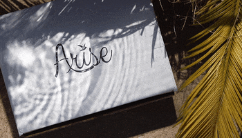 GIF by The Arise Box